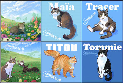 Cat Cat